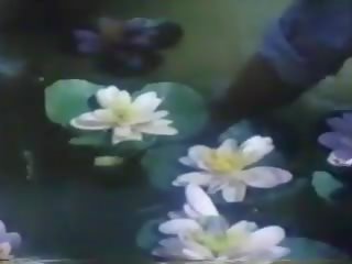 Ylc 二 1985: 自由 名人 x 额定 电影 夹 18