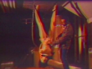 Terrorized: độ nét cao xxx kẹp chương trình vid 0a