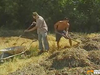Δυο farmers και ένας Καυτά να trot divinity πάταγος τους γαμώ τρύπες επί ο πεδίο