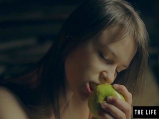 Marvellous 到 trot lassie 同 完美 奶 該 愛 stuffing veggies