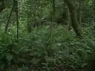 Perdidas na floresta: 精液 で 口 汚い ビデオ ビデオ d9