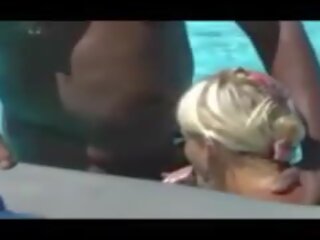 乌龟 节目 他们的 妻子 第一卷 14