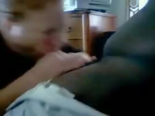 Aldamak ak aýaly swallows bbc gutarmak
