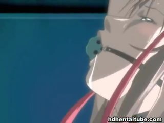 Mescolare di spettacoli da hentai nicchie