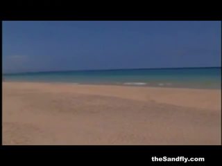 Thesandfly 該 海灘 sexfiles