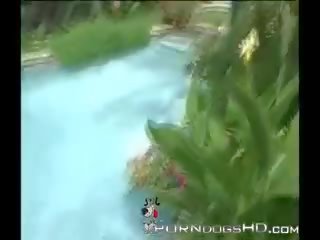 年輕 越南語 的陰戶